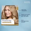 Clairol Nice 'n Easy Frost & Tip Original