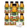 Minute Maid Fruit Juice, 10oz Bottles, Pack of 8 (Apple