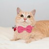 2 Pcs Kitten Bow Tie Collar with Bell Cute Cat