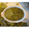 TAZAH California Style Turkish Grape Leaves in Jar – Vegan