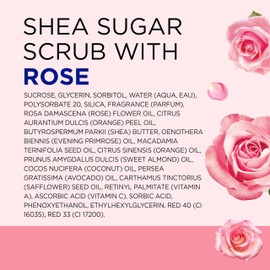 Dr Teal's Shea Sugar Body Scrub, Rose with Essential Oil, 19 oz (Pack of 3)