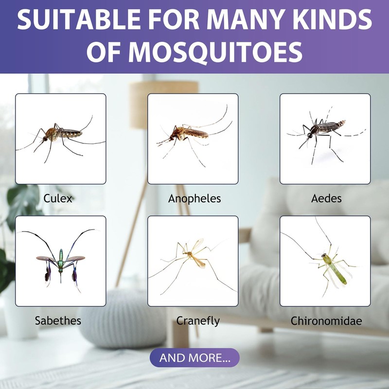 6 Mosquito Attractant Bait Refill Cartridge for Fruit Bug Zapper