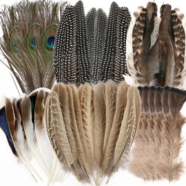48 Stück Bastelfedern-Dekorationen, Federn zum Basteln, 5 Stile Deko Bastelfedern in Verschiedenen Farben, Gemischte Natürliche Fasanenfedern für DIY-Projekte, Hüte, Masken und Festdekorationen