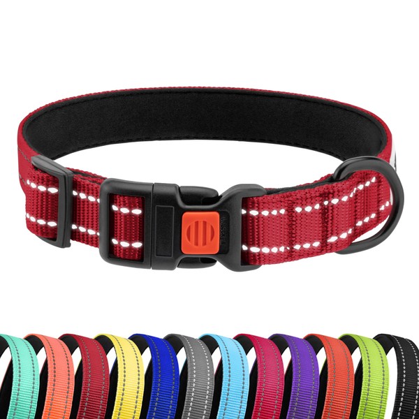 CollarDirect Reflective Dog Collar for a Small, Medium, Large Dog