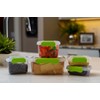 WC Redmon Visto Fresh Variety Pack-Set of 5 Storage, Multiple,