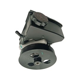 Power Steering Pump with Pulley and Reservoir with Cap - Compatible with 1994-2005 Buick Century 3.1L V6