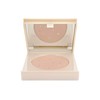 W7 Cosmetics Magic Touch Mineral Face Powder & Face Brush