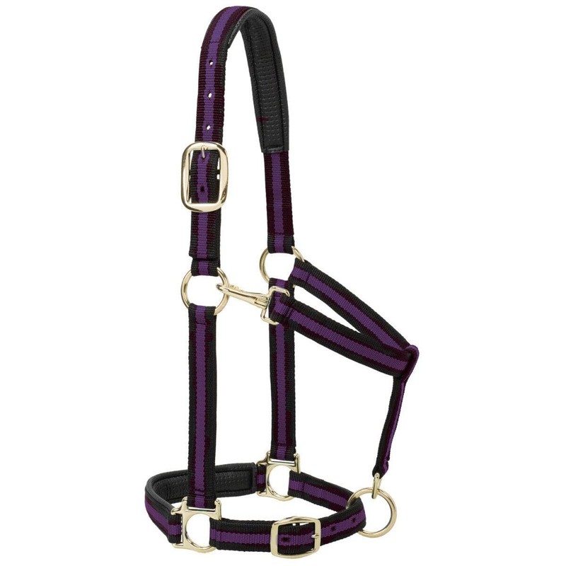 Weaver Leather Padded Adjustable Nylon Horse Halter, Blue, 1" Small