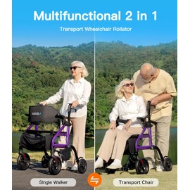 Farani 2 in 1 Rollator Walker & Transport Chair Combo, Foldable Rolling Wheelchair for Seniors, All Terrain 10" Non-Pneumatic Tires, Sponge Padded Seat, Reversible Backrest & Footrests (Purple)