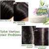 Champú Con Jengibre Para El Crecimiento Del Cabello, Champú Orgánico