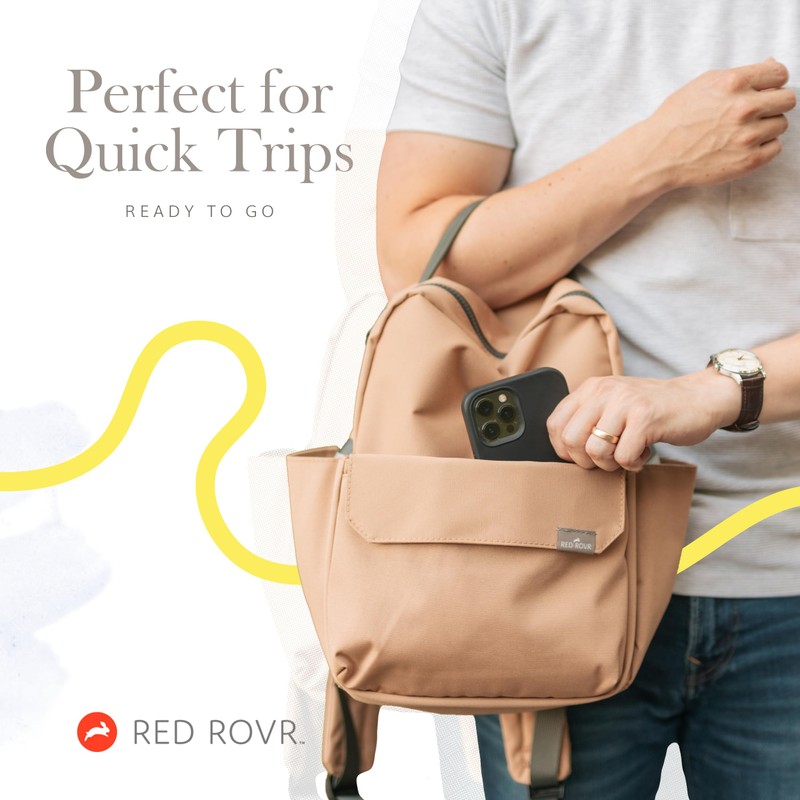 RED ROVR Mini Roo Lightweight Backpack | 6 pockets for