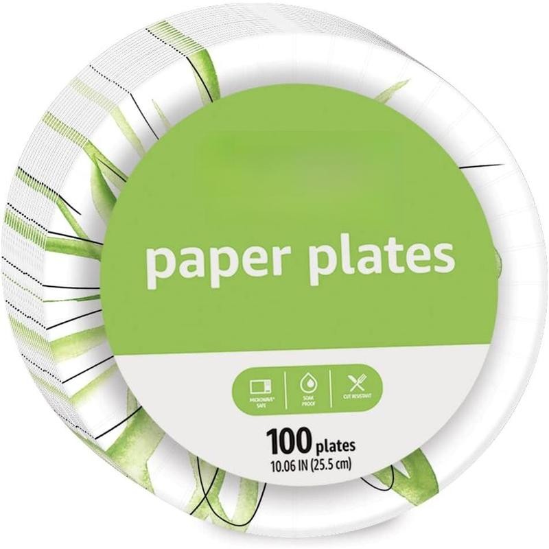 Basics Everyday Paper Plates, 10 Inch, Disposable, 100 Count -