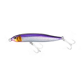 Shimano XL-210R 015 Exsense Sliding Assassin 100S X AR-C Sinking Pencil for Sea Bass