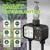 2-Zone Digital Garden Water Timer with Rain Sensor – Automatic