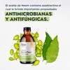 HEBBE - Aceite de Neem | Mejora, Repara y Protege