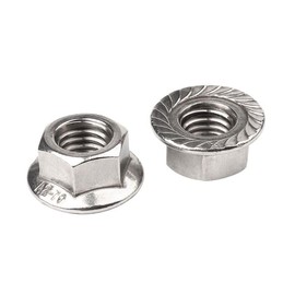 NOLDAR | Hex Nuts with Flange and Locking Toothing DIN 6923. Flange Nuts AISI 304 (A2) Stainless Steel M10 (Pack of 100)