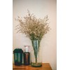 WGV Cylinder Vase, Width 7", Height 12", Clear Wide Large