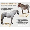 V-POINT - Laminitis Ease - hoof Supplements for Horses -
