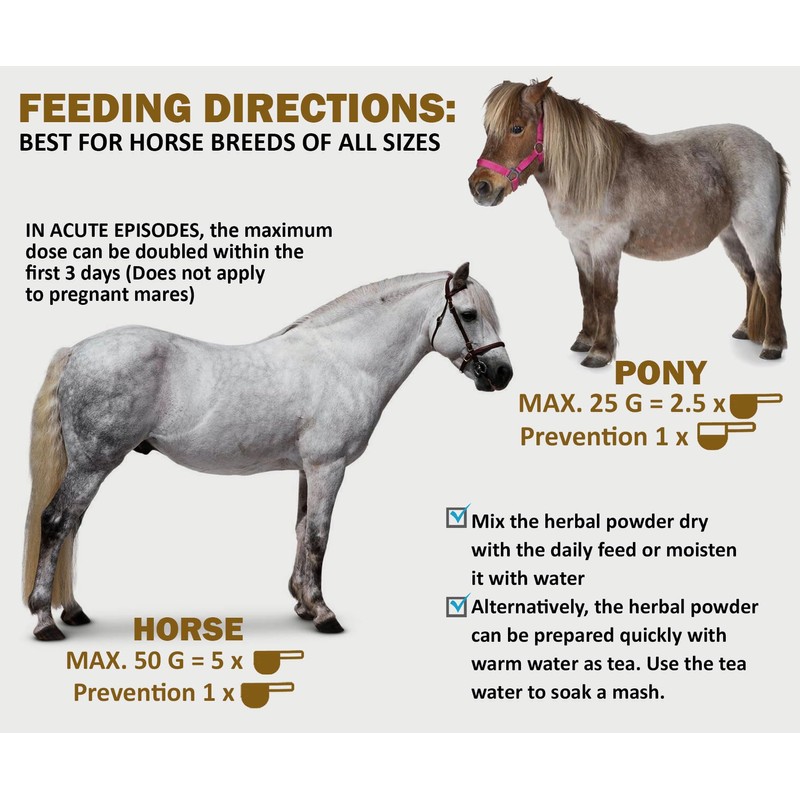 V-POINT - Laminitis Ease - hoof Supplements for Horses -