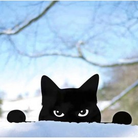 Kaimed Cat Welcome Plate, Garden Object, Cats, Gardening Object, Cute, Gardening Ornaments, Miscellaneous Goods, Cats, Gardening Goods, Plates, Interior, Gardening, Decoration