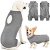 Lukovee Recovery Suit for Dogs, Onesie Surgery Recovery Suit for