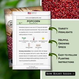 Sow Right Seeds - Strawberry Pop Corn Seed for Planting - Non-GMO Heirloom Packet with Instructions to Plant a Home Vegetable Garden - Grow Your Own Popping Kernels - Short Red Variety (1)