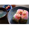 EDOYA Hinoki Wood Sushi Press Mold Oshizushi Made in Japan