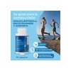 B-fit Nad 500mg 90 Cápsulas Suplemento Anti Aging