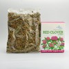 RED CLOVER TEA (Trifolium pratense) | Organic Whole Red Clover
