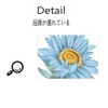 Fujitoya Blue Flower Sunflower Grass Wall Decal Wall Decor M0415