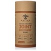 Indian Curcumin: Joint Recovery | Turmeric, Tamarind Seeds, Boswellia and