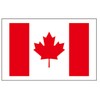 8 Large Canada Flag Tattoos: Canadian Party Favors