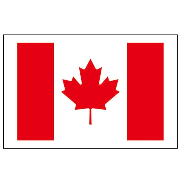 8 Large Canada Flag Tattoos: Canadian Party Favors