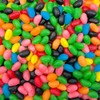 Jelly Beans - 3 Pound Bulk Pack - Fruit and