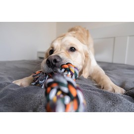 Dog Knotted Rope Toys, Pack of 3, Colourful Twisted Chew and Tug Toys for Dental Health, Durable Braided Ropes, Dental Cleaning, for All Breeds, Puppies, Small, Medium or Large Dogs Pack of 3 dog toys