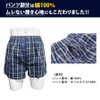 Replacement Pad Type Incontinence Pants, Urine Leak Pants, Trunk Pants,