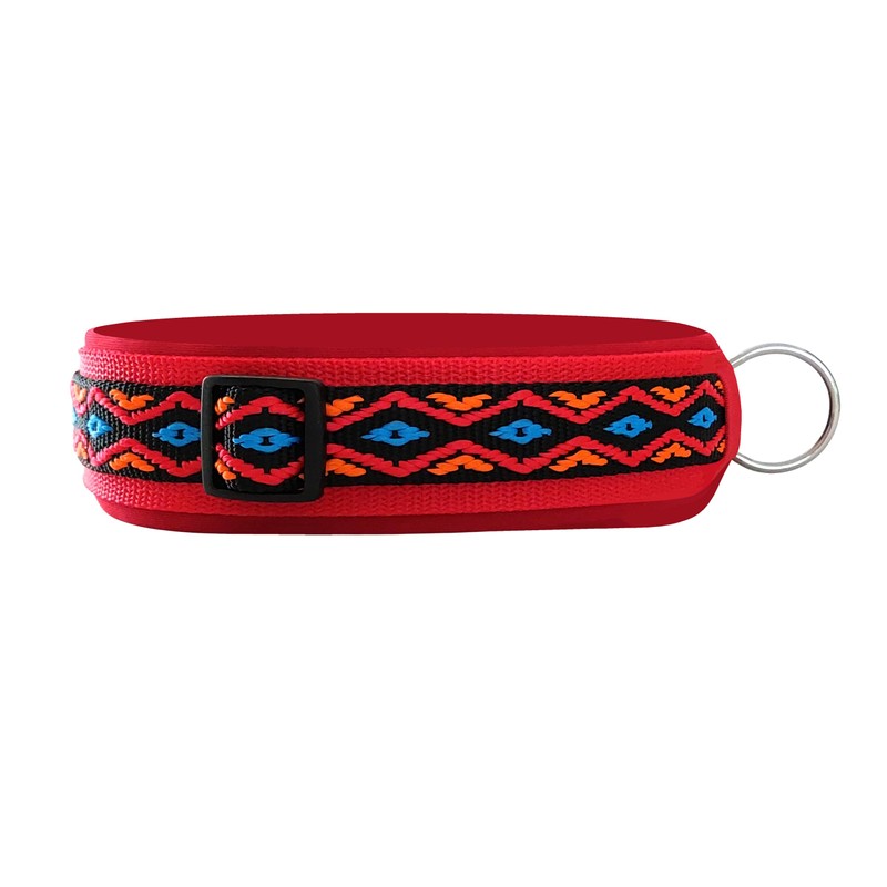 BUDDYPACK Dog Collar Extra Wide and Soft Padded for Small,