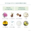 Bebi Lab 비비 연구소 모이스트 크림 마스크팩 프로 화이트 175그램