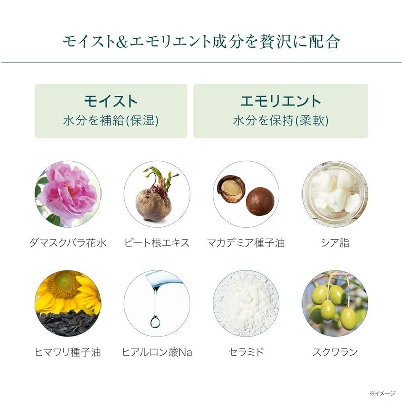 Bebi Lab 비비 연구소 모이스트 크림 마스크팩 프로 화이트 175그램