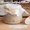 Freshly Fermented - Certified Organic Freeze Dried Sourdough Starter, British