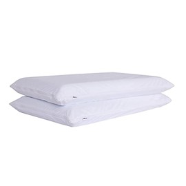 Cooling Bamboo Feather Proof Pillow Protectors with Zipper Queen Size Waterproof Down Proof Covers for Bed Pillows 2 Pack