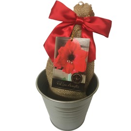 Rustic Tin Red Lion Amaryllis Holiday Gift Growing Kit, Deluxe Edition. Includes a Rustic Silver Pot, 1 Large Bulb, a Burlap Gift Bag and Professional Growing Medium