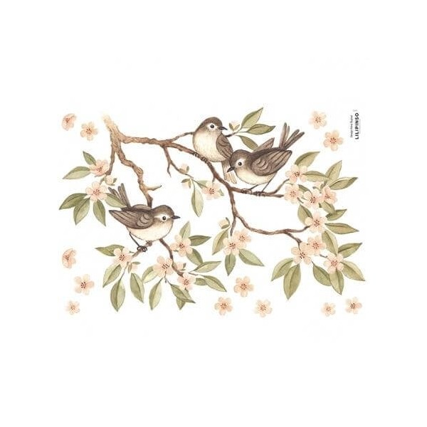 Lilipinso Forest | Wall Decals - Sparrows + Branches