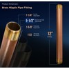 Everflow Supplies NPBR1512 12" Long Brass Nipple Pipe Fitting with
