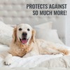 DMI Waterproof Mattress Protector, White, 36x80x6 Inch, Noiseless Plastic