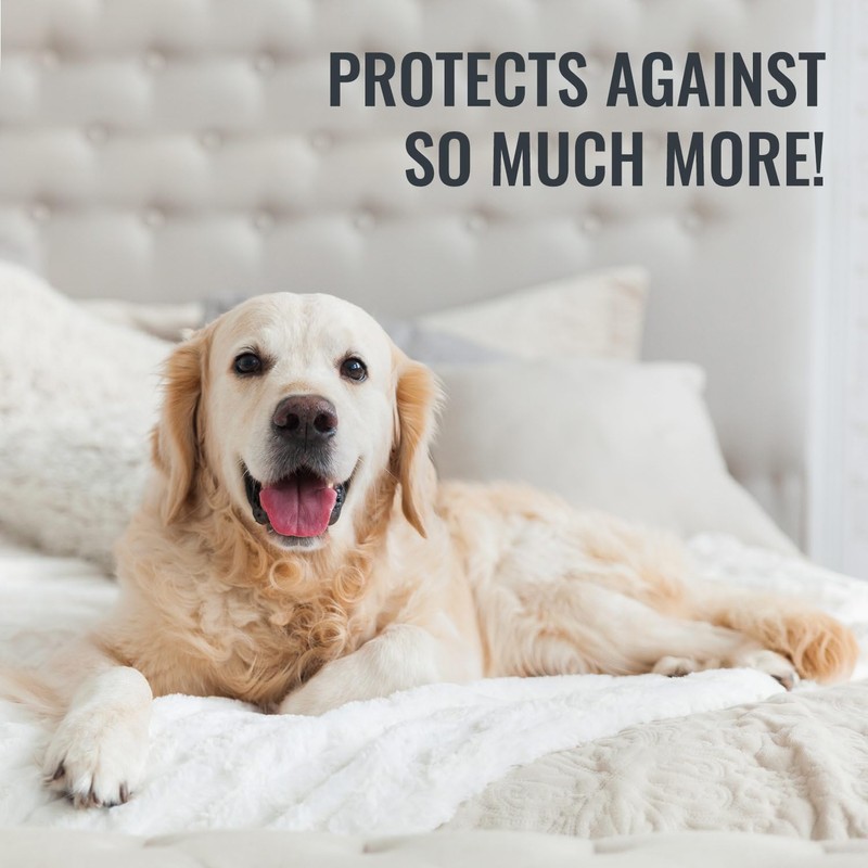 DMI Waterproof Mattress Protector, White, 36x80x6 Inch, Noiseless Plastic