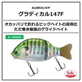 Daiwa Gradient 147F Bass Lure