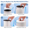 PU-P05/AC201B Replacement Filter Compatible with FULMINARE PU-P05 and Purivortex AC201B