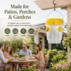Solar Wasp Trap for Outdoor Pest Control – Reusable Hanging