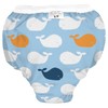 Kushies Baby Waterproof Training Pant (33-38 Pounds), Blue Whales, Large